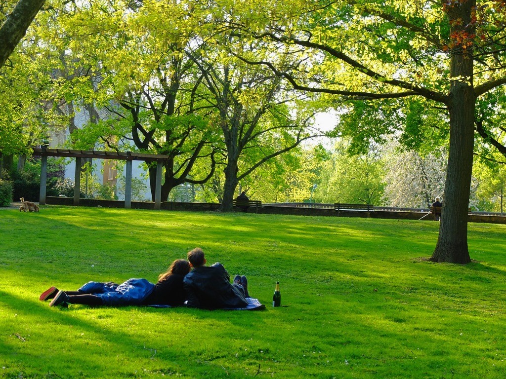 park in the park jigsaw puzzle online