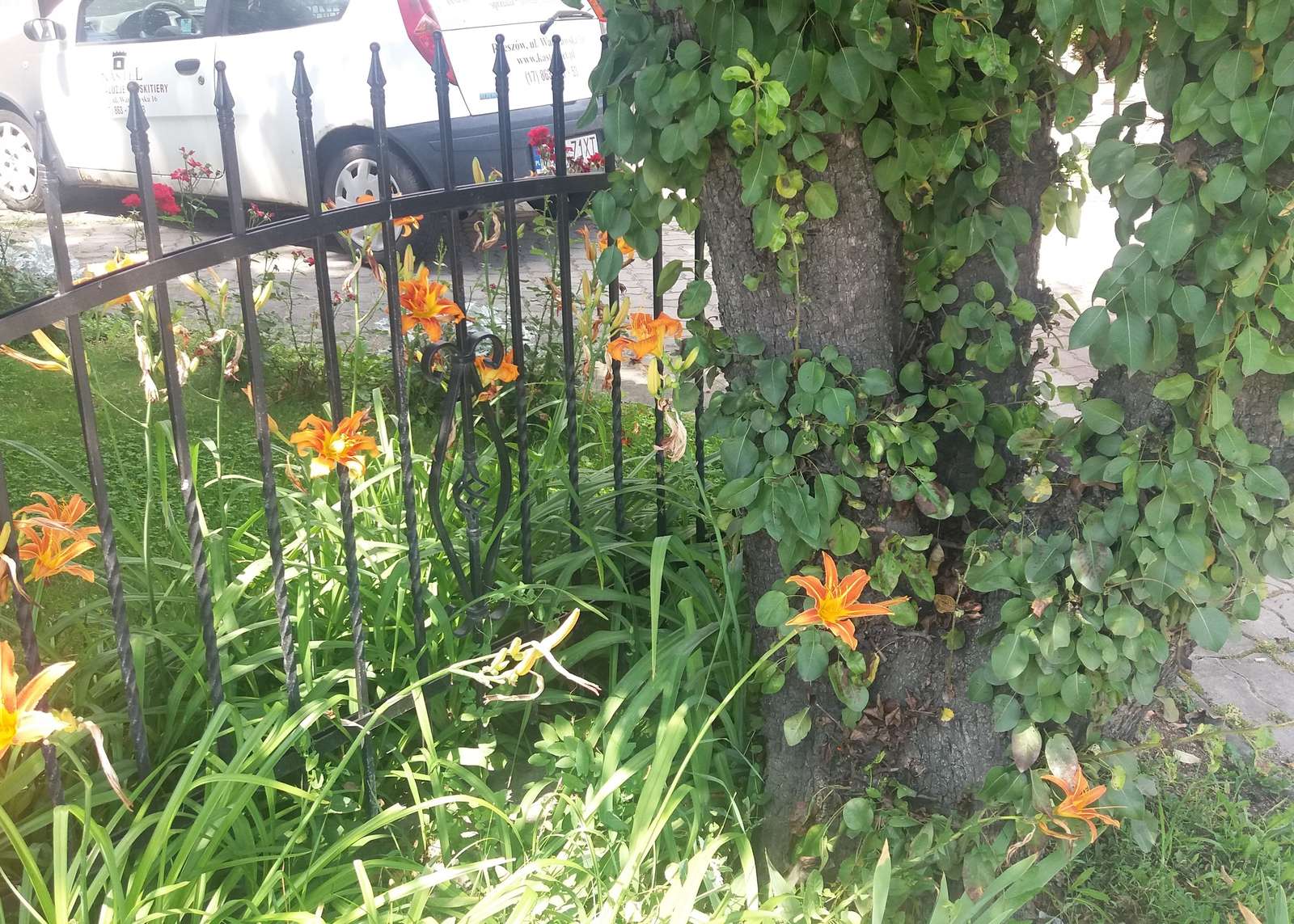 Blommor framför staketet. Pussel online