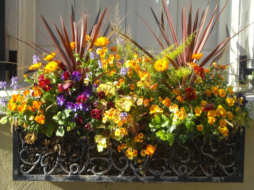 Pot de fleurs avec des fleurs. puzzle en ligne