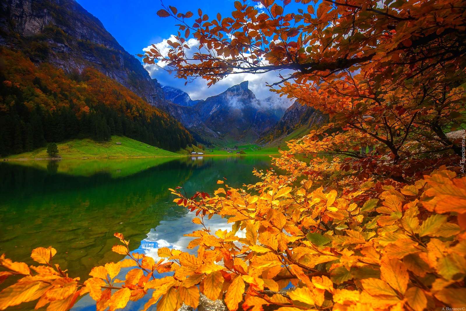 The beauty of nature. jigsaw puzzle online