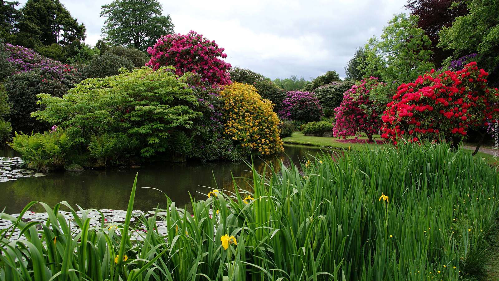 Zahrada v Anglii. skládačky online