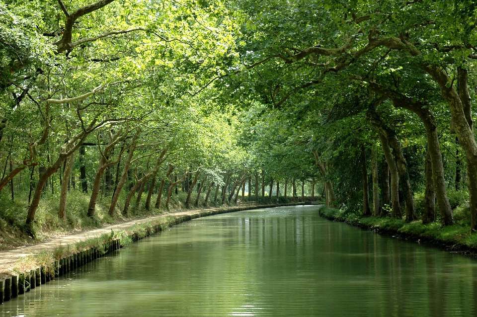 Un canal parmi les arbres. puzzle en ligne