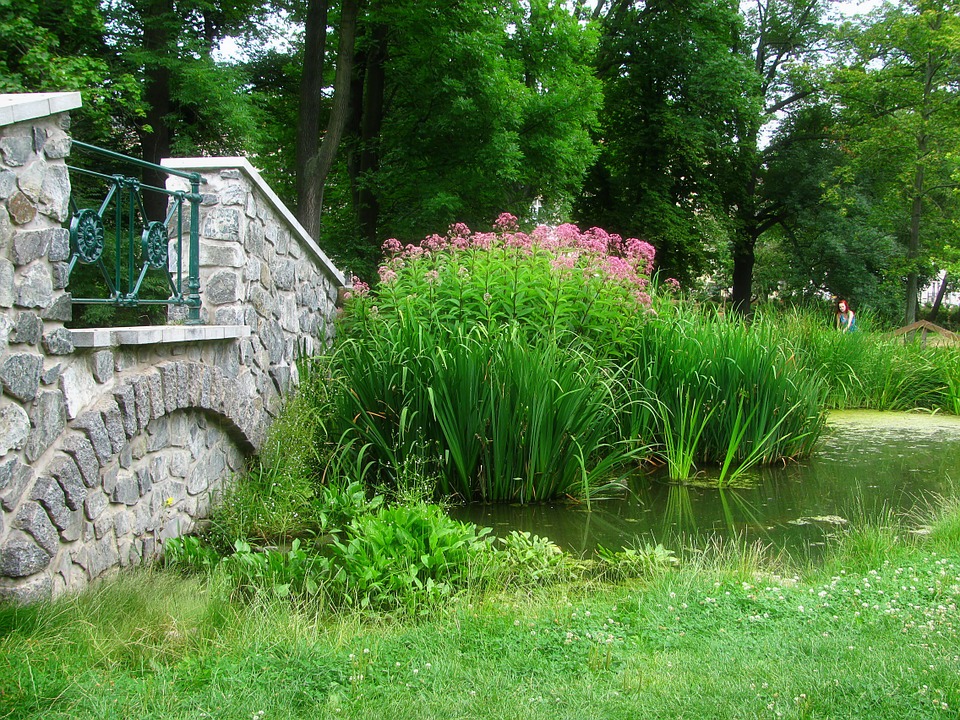 Малко езерце в парка онлайн пъзел