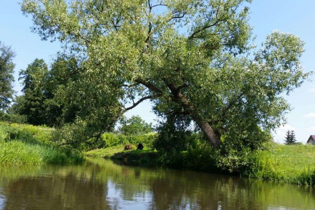 Река Lubaczówka онлайн пъзел