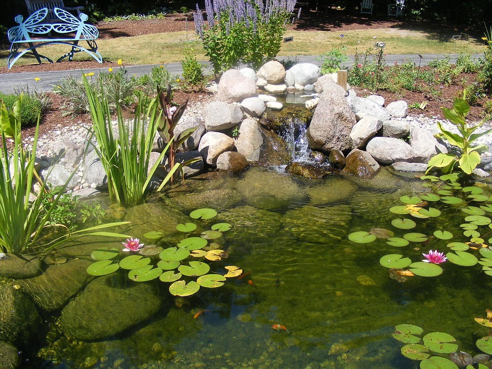 Uma lagoa no parque. puzzle online