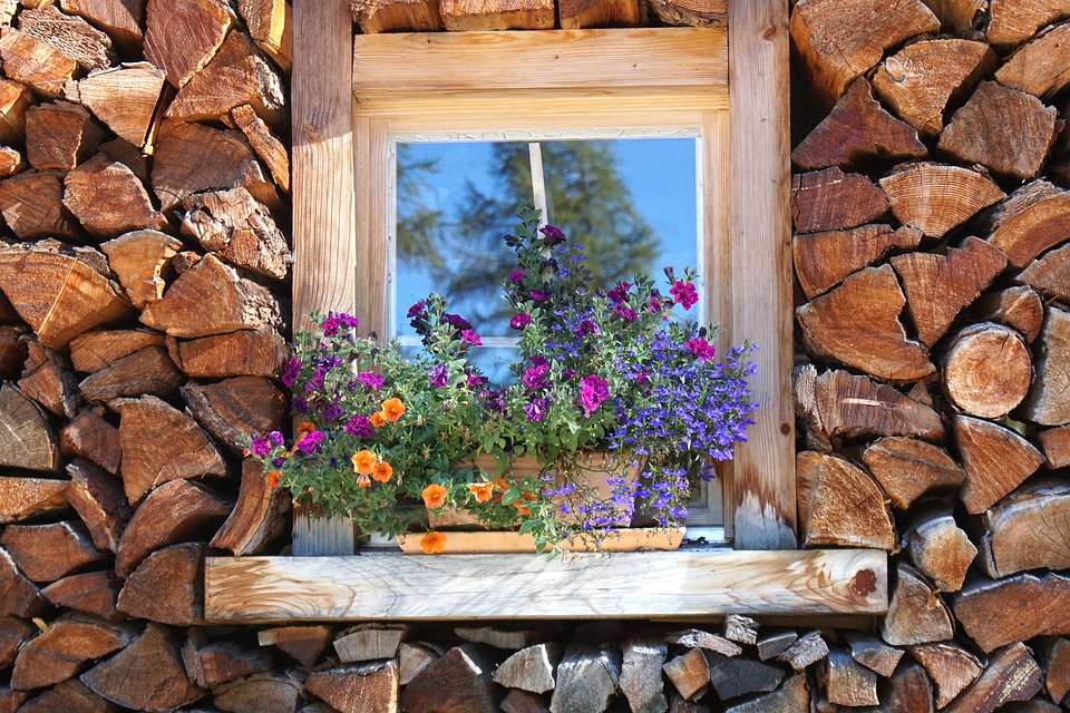Fleurs dans la fenêtre. puzzle en ligne