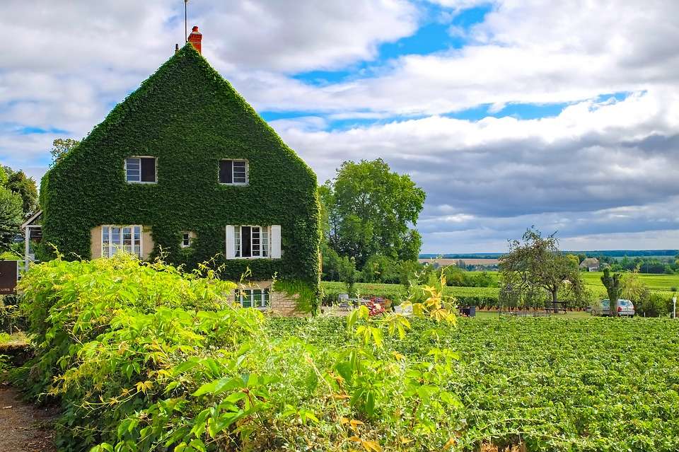Къща във френската провинция. онлайн пъзел