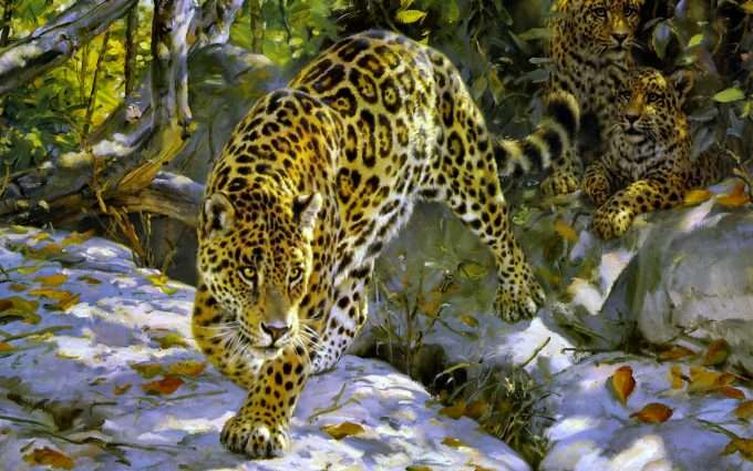 Domestic cat in the jungle online puzzle