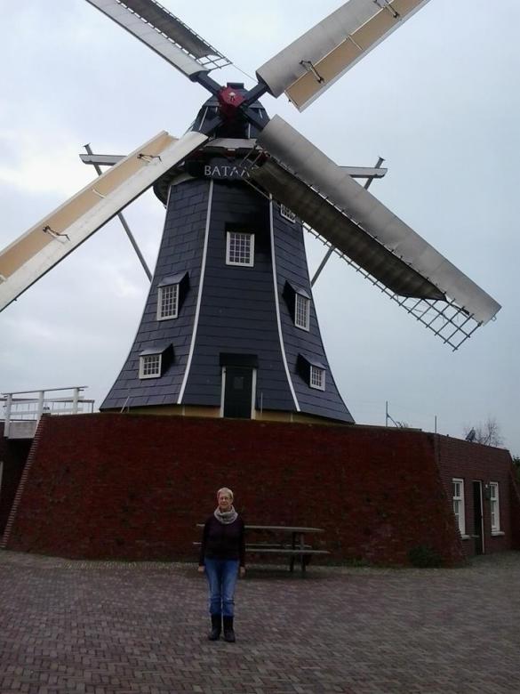 Windmill, sky, bänk pussel på nätet