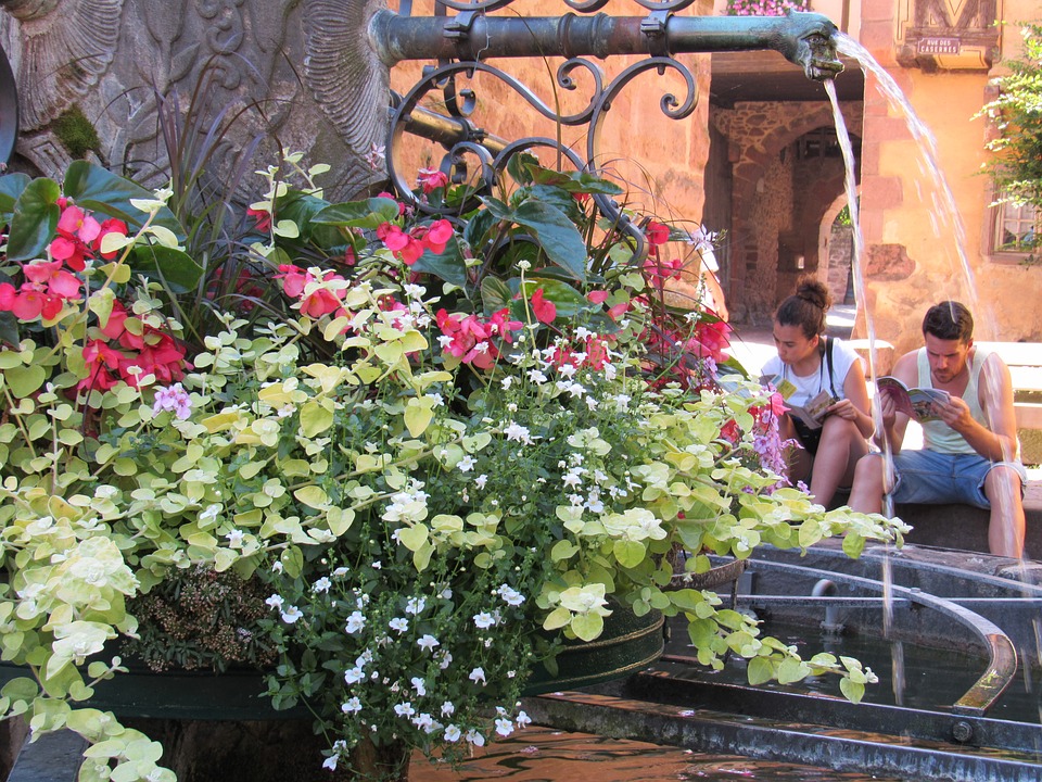 Flowers by the fountain. jigsaw puzzle online