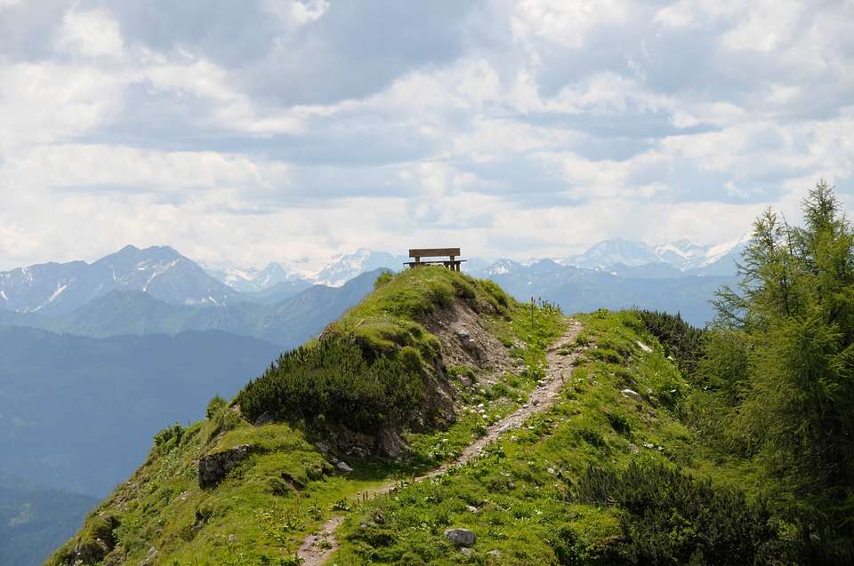 A bench with a view. jigsaw puzzle online