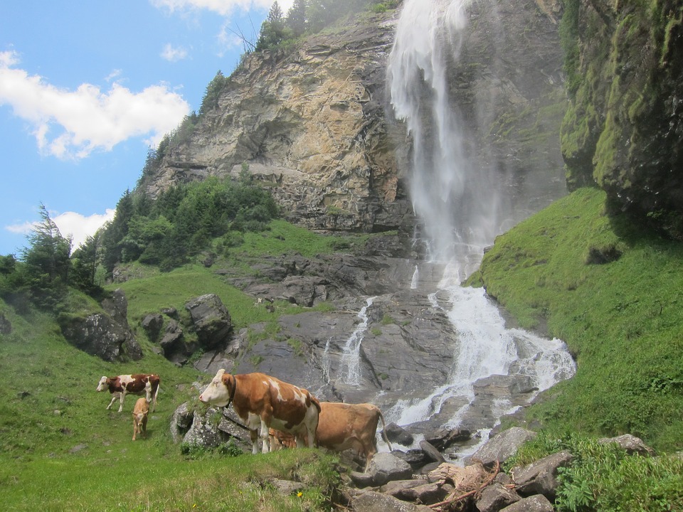 Wasserfall in Alm. Österreich. Online-Puzzle