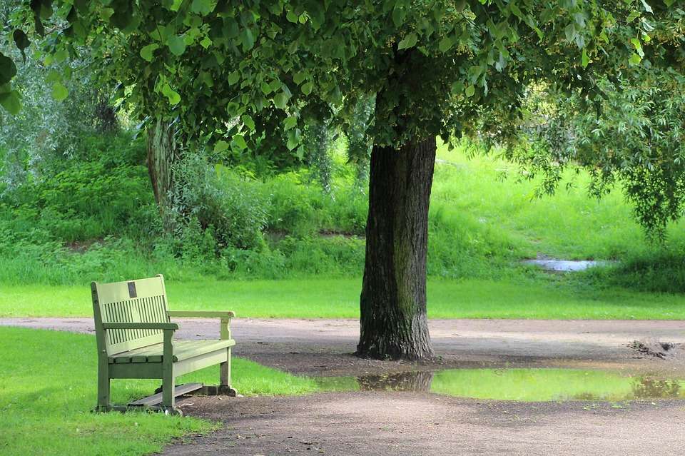 En bänk i parken. pussel på nätet