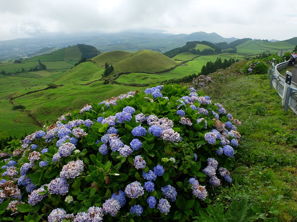 Azores landscape. online puzzle