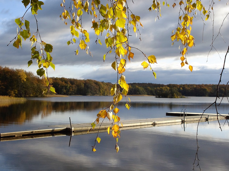 Egy tó Svédországban. kirakós online