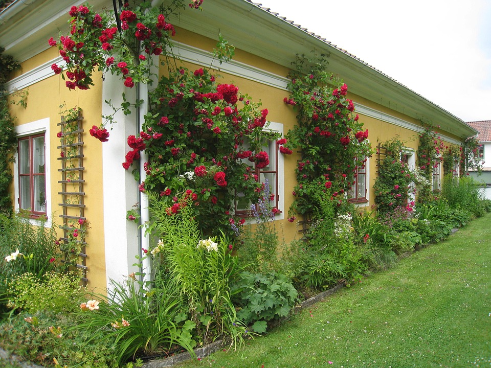Een huis met rozen. online puzzel