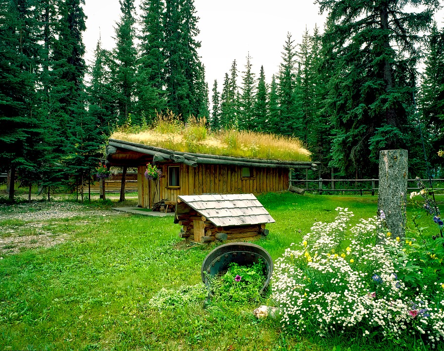 Eine Hütte in Alaska. Online-Puzzle