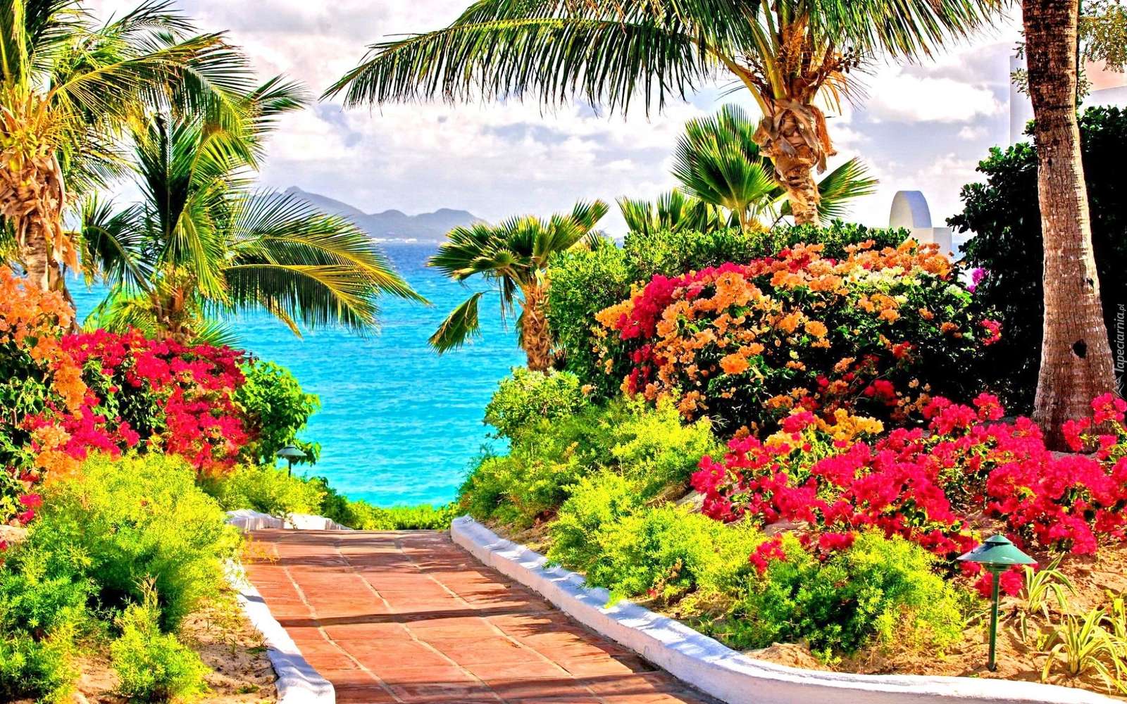 Descent to the water. jigsaw puzzle online