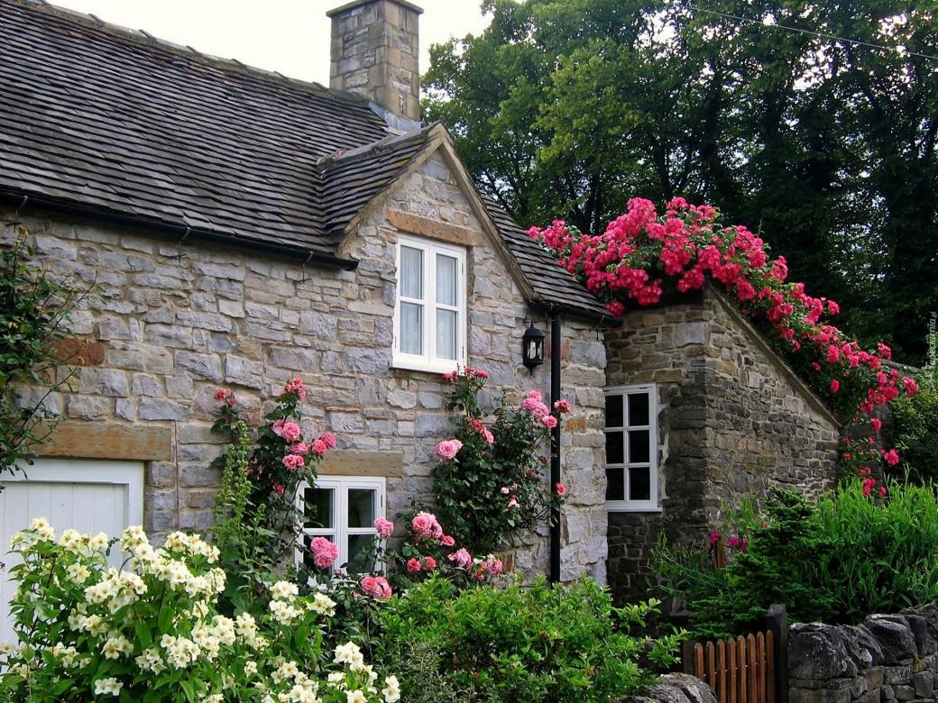 Uma casa com rosas. puzzle online