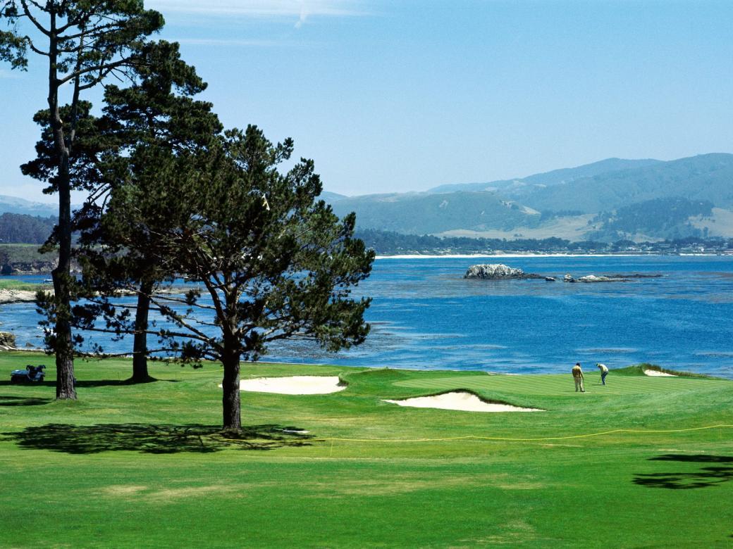 On the golf course. jigsaw puzzle online