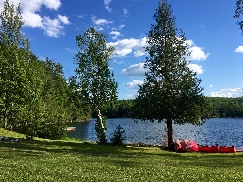 Літо на озері. онлайн пазл
