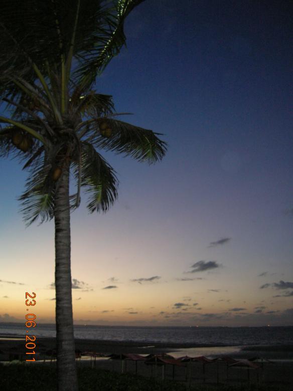 Zonsondergang met een palmboom online puzzel