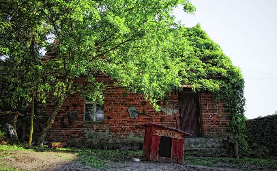 Old house. online puzzle