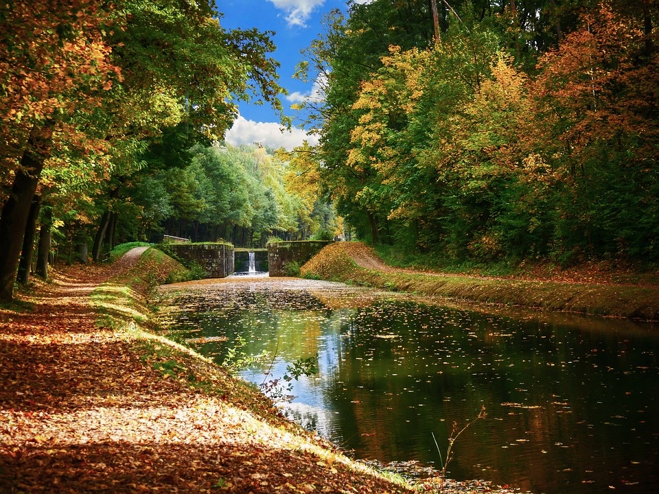 The beginning of autumn. jigsaw puzzle online
