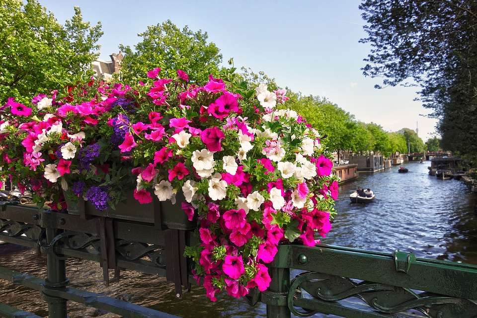 Цветы на мосту. онлайн-пазл