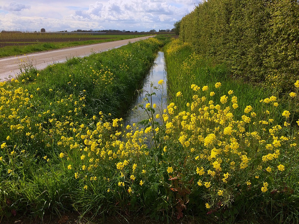 A ditch near the road. jigsaw puzzle online