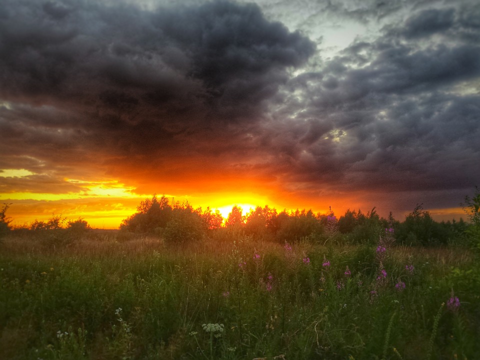 Sunset over the meadow. jigsaw puzzle online