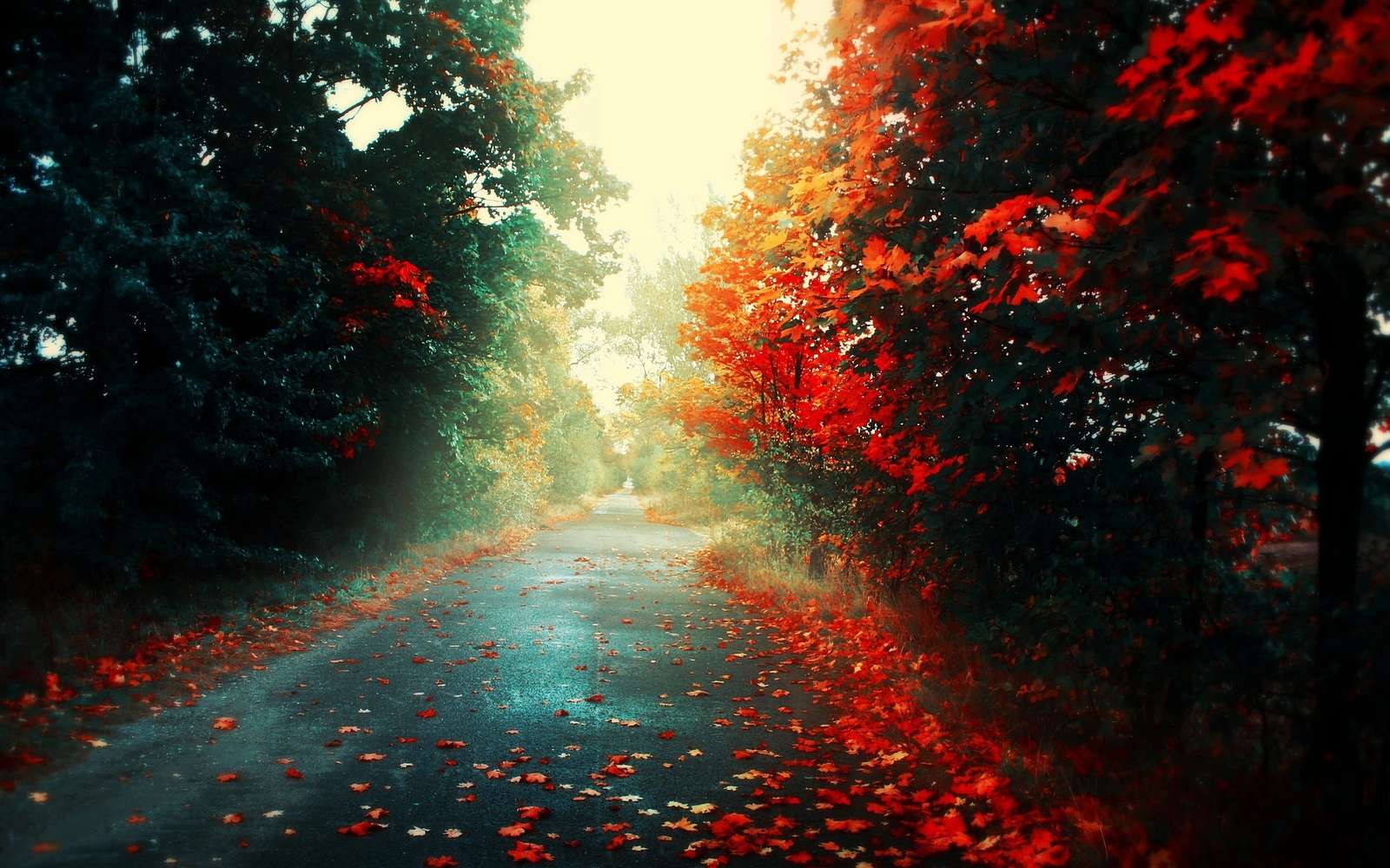 Цветна есен. онлайн пъзел