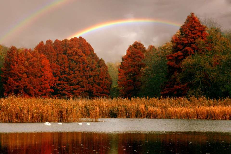 Regenbogen auf dem See. Online-Puzzle