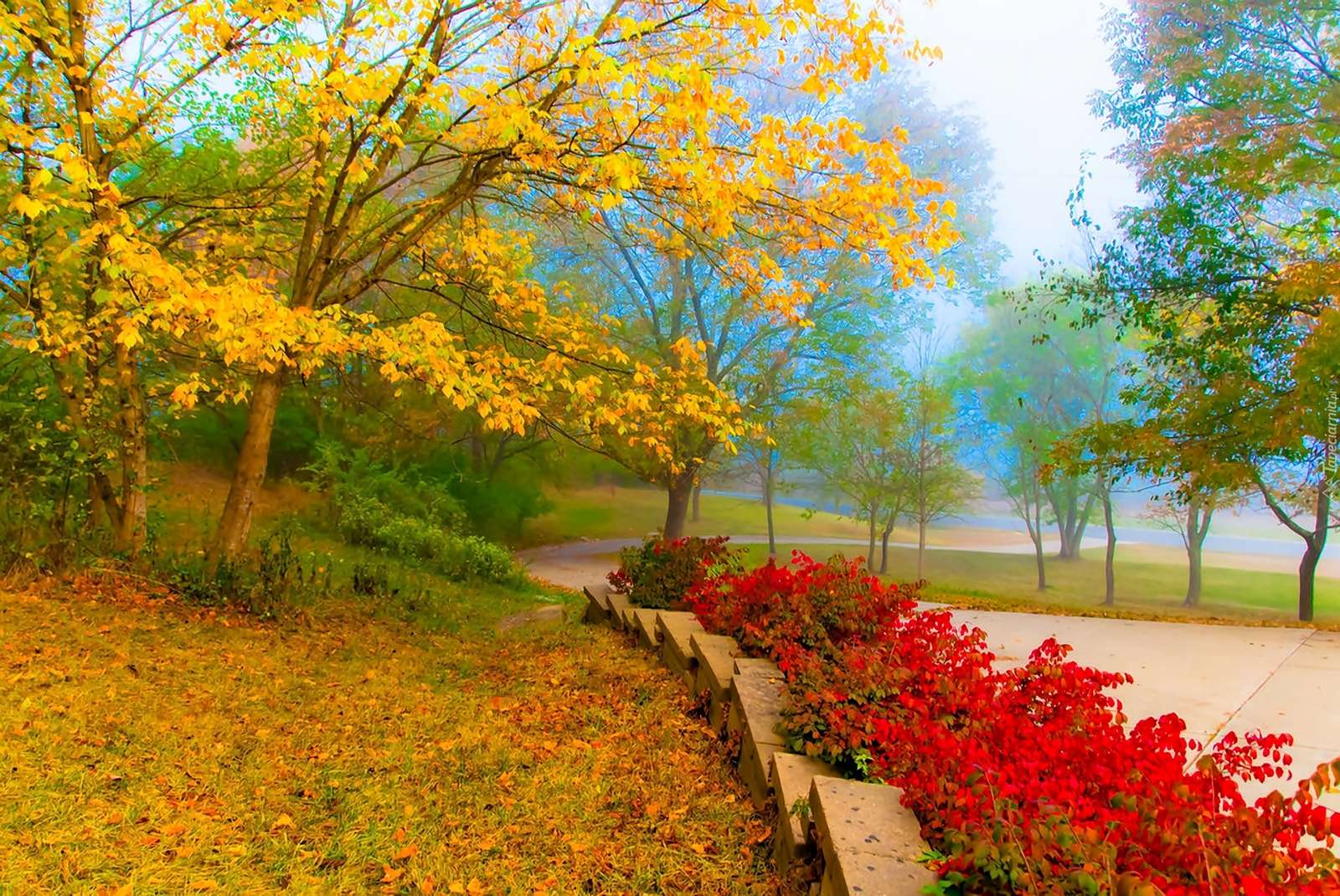 Farben des Herbstes. Puzzlespiel online