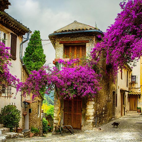 alley, flowers jigsaw puzzle online