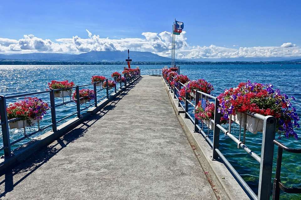 Flowers on the pier. jigsaw puzzle online