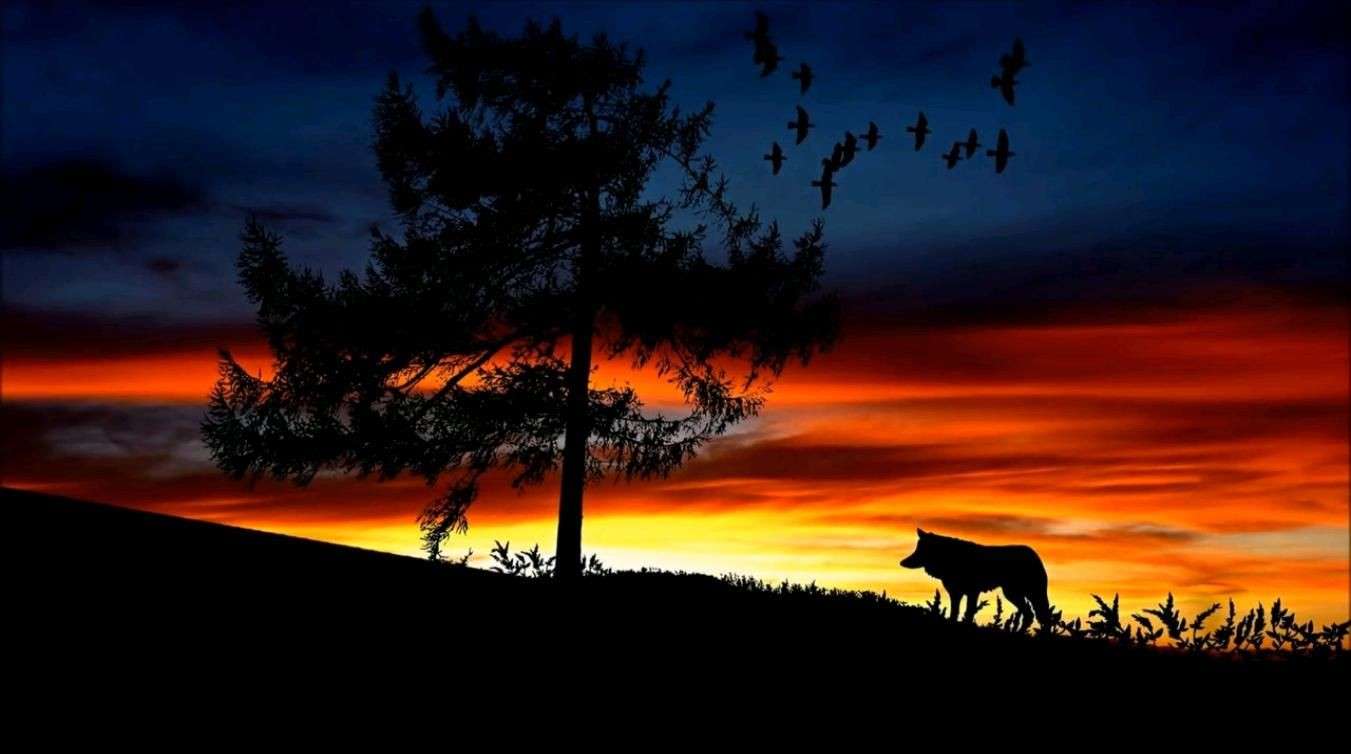wolf zonsondergang online puzzel