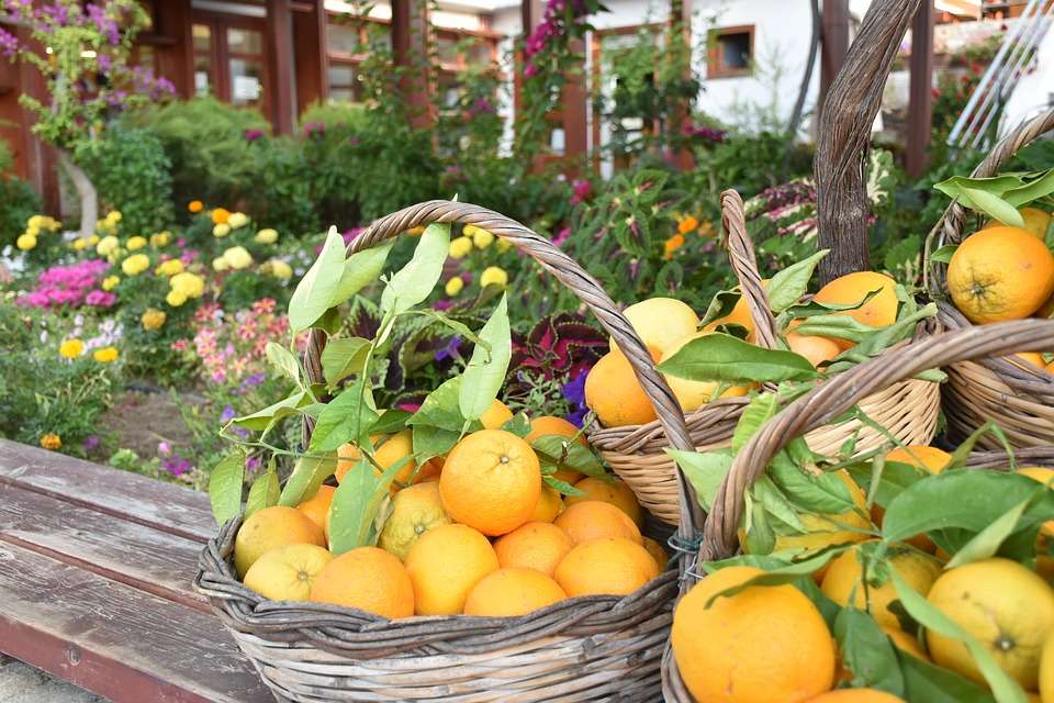 Baskets of oranges. online puzzle