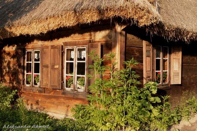 Casa rural en Podlasie. rompecabezas en línea