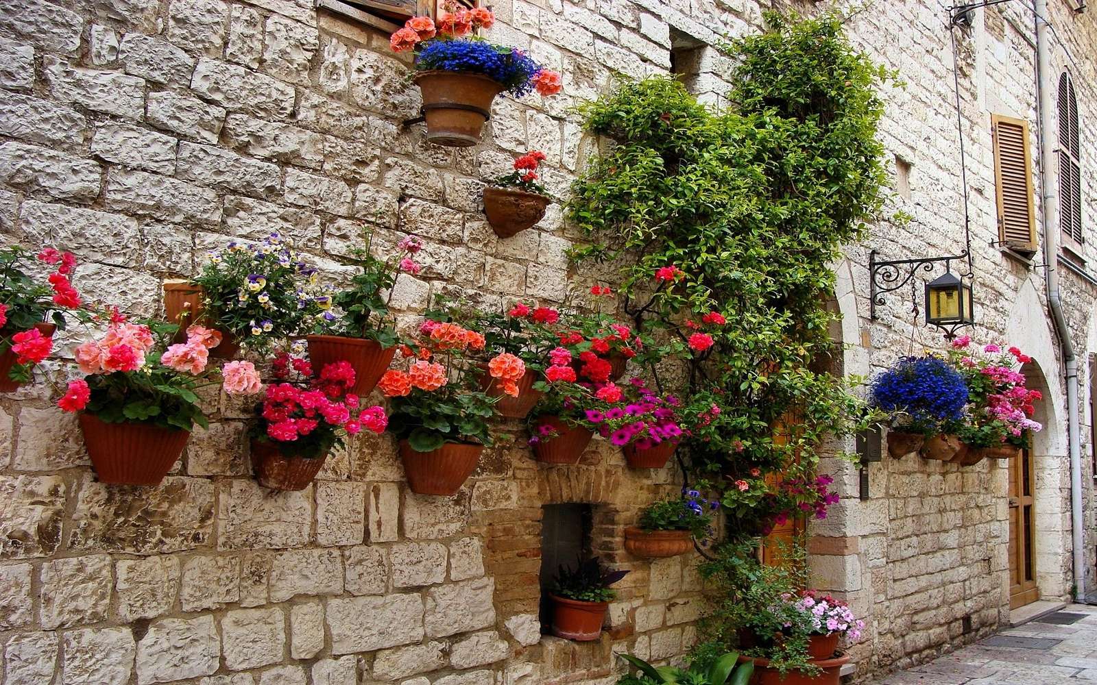 цветя на стената на къщата онлайн пъзел