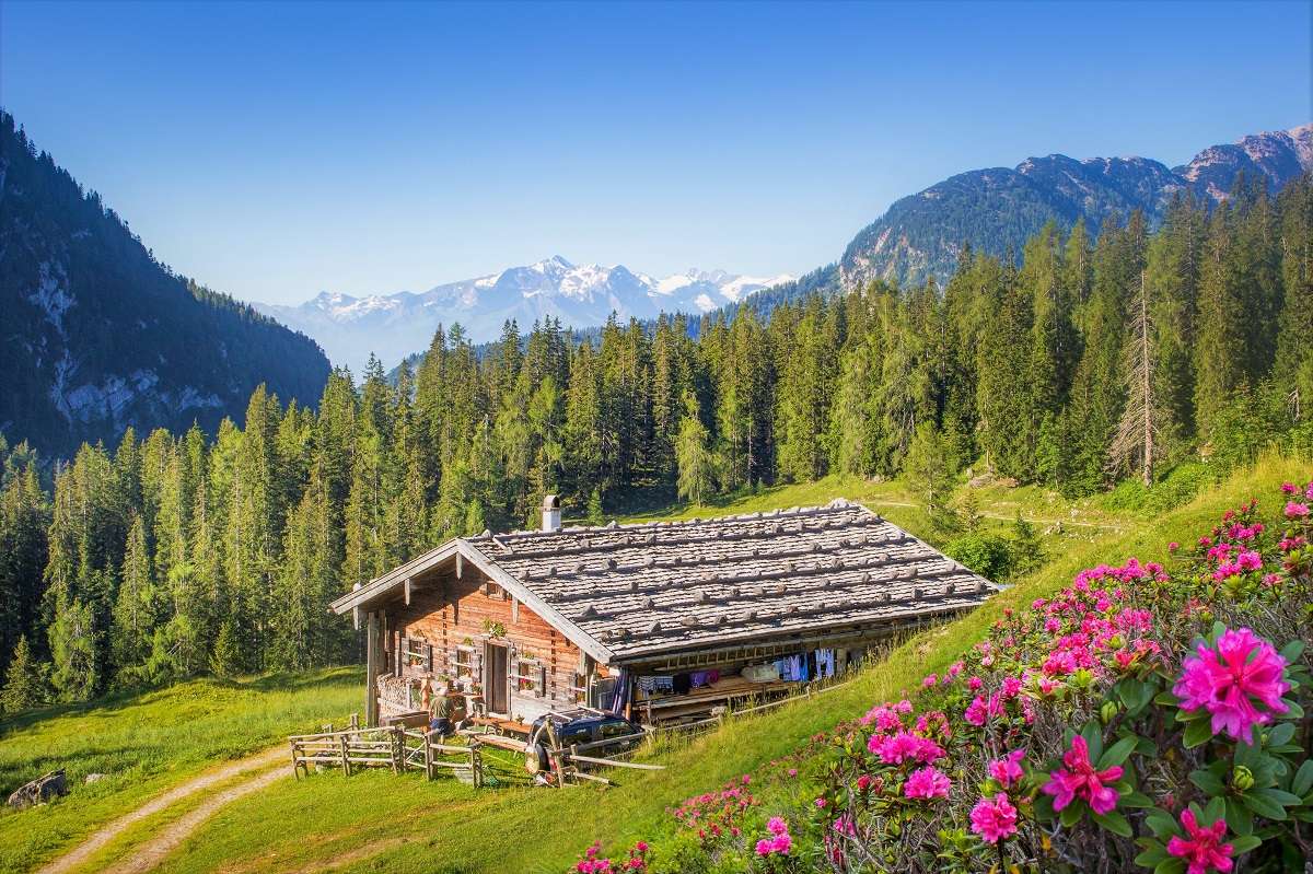 Εξοχικό σπίτι στα βουνά. παζλ online