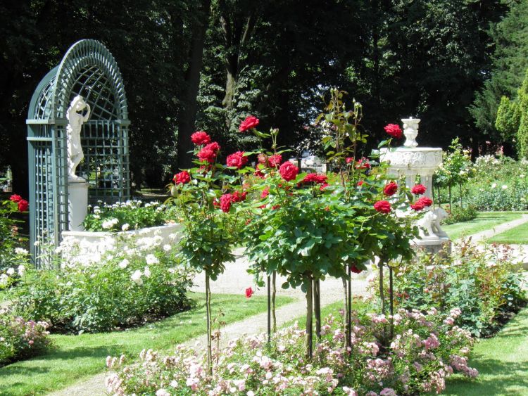 Jardim de rosas. quebra-cabeças online