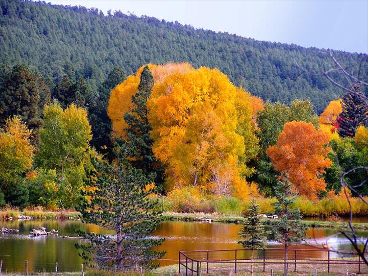 есенни цветове онлайн пъзел
