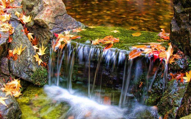 brook in leaves jigsaw puzzle online