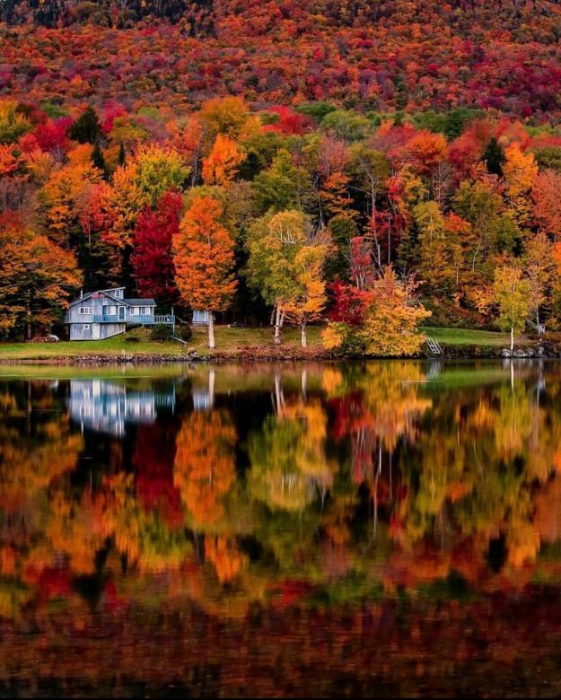 Colorful autumn online puzzle