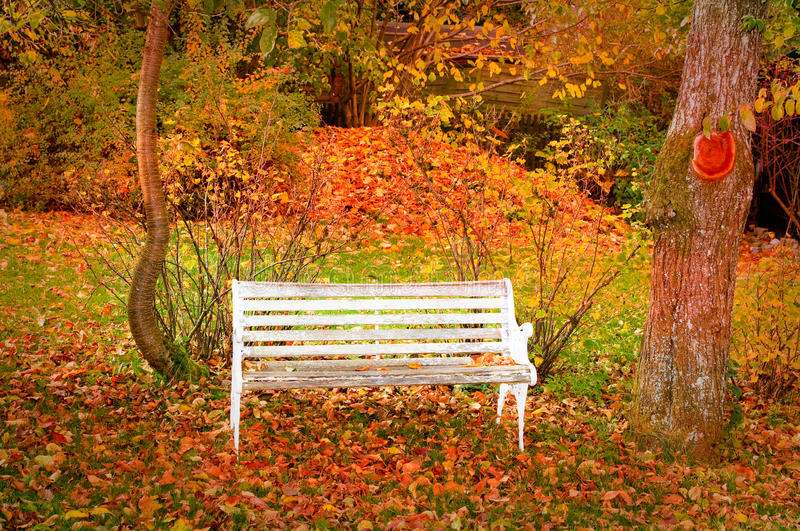 White bench. online puzzle