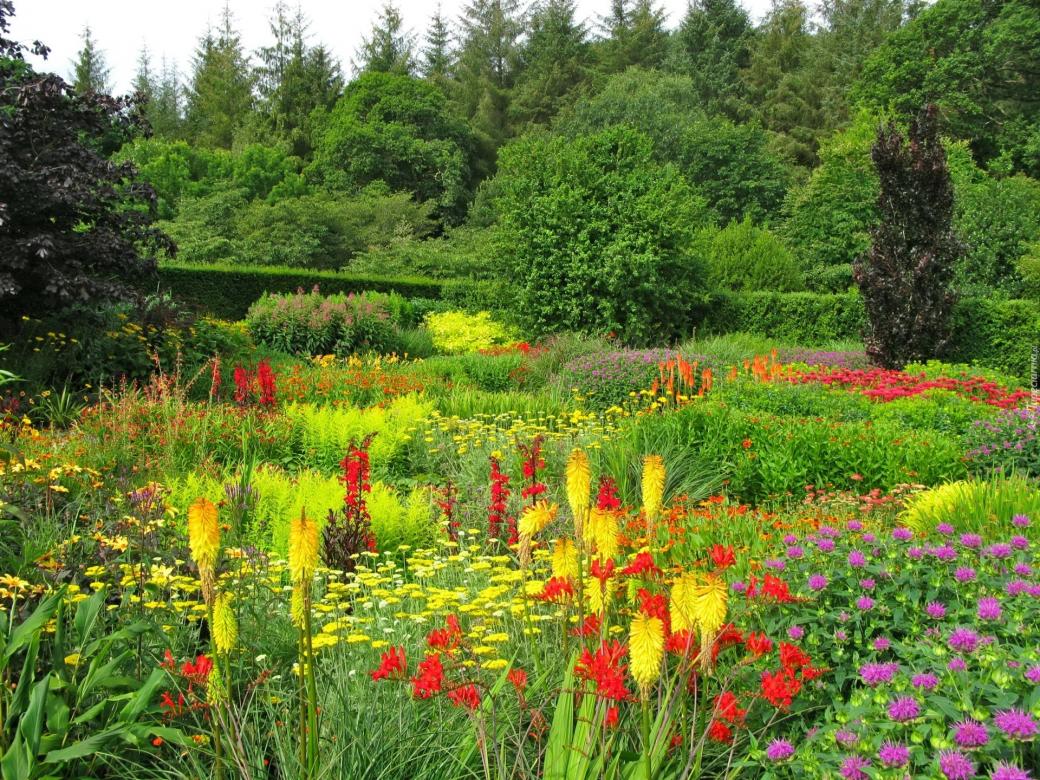 庭の花。 ジグソーパズルオンライン