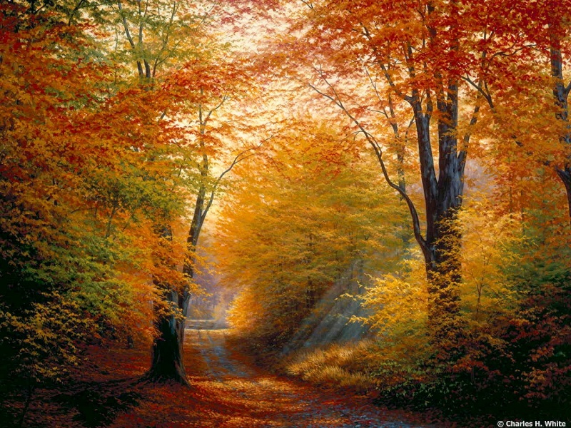 Farben des Herbstes. Online-Puzzle