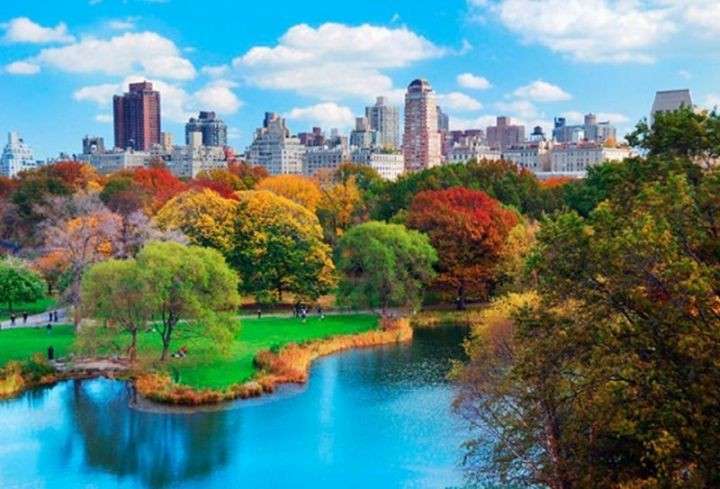 Центральный парк Нью-Йорка пазл онлайн
