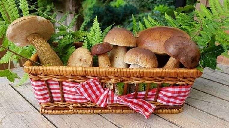 cesta com cogumelos puzzle online